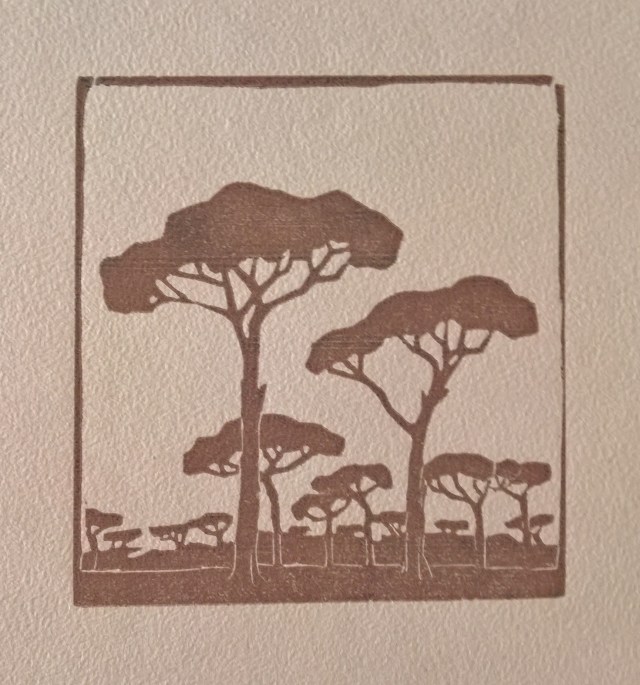 MB - Pini di Cervia - 1925